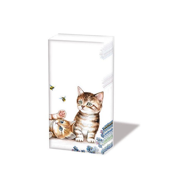 1 Pack paper handkerchiefs - Cats And Bees - Ambiente