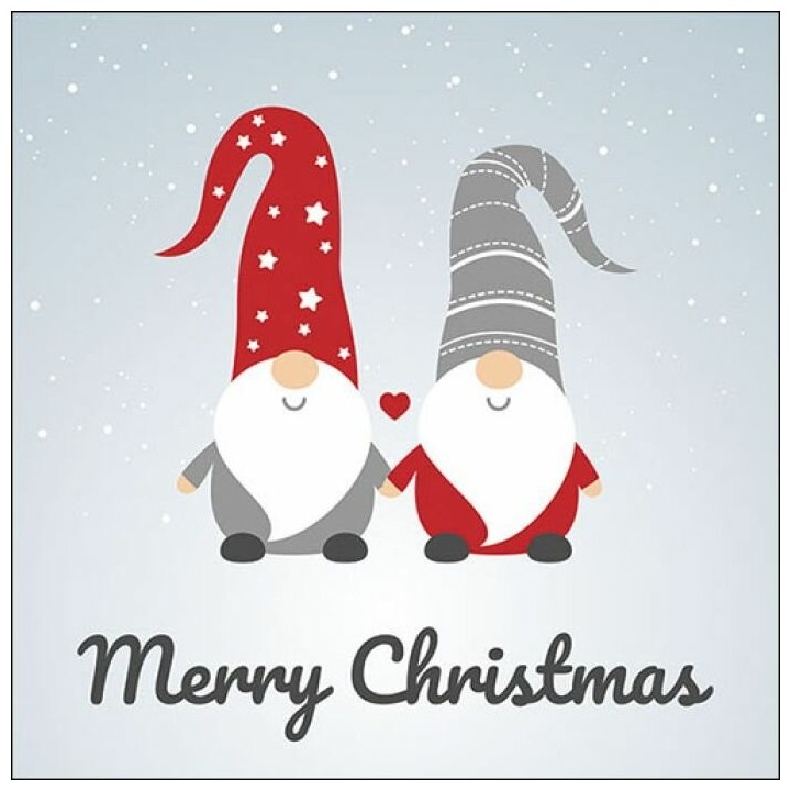 1 pack Cocktail Napkins - Side By Side - Ambiente