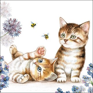 1 Pack paper cocktail napkins - Cats and Bees - Ambiente