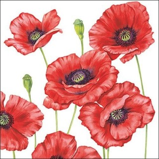 1 Pack Paper Lunch Napkins - Romantic Poppy - Ambiente