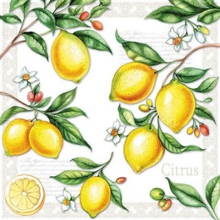 paper lunch napkins - Citrus - Ambiente