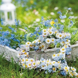 paper lunch napkins - Flower Heart - Heart - Daisies - Ambiente