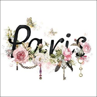 1 Pack Paper Lunch Napkins - Paris - Ambiente