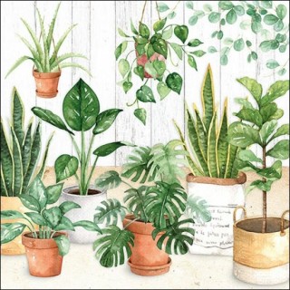 1 Pack Paper Lunch Napkins - Urban Jungle - Ambiente