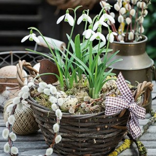 1 Pakje papieren lunch servetten - Snowdrops In Basket - Ambiente
