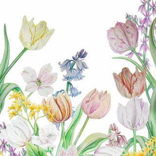 1 Pack Paper Lunch Napkins - Nana - PPD