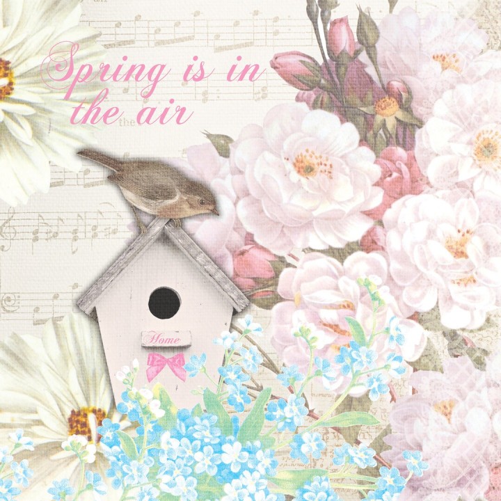 1 Pakje papieren cocktail servetten - Bird house - Paper + Design