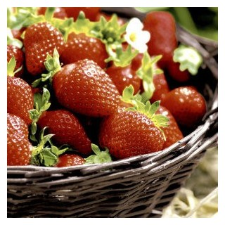 1 Pack Paper Lunch Napkins - Strawberries - Paper + Design