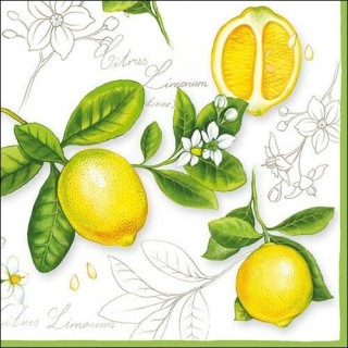 1 Pack Paper Lunch Napkins - Citrus Limonum - Ambiente