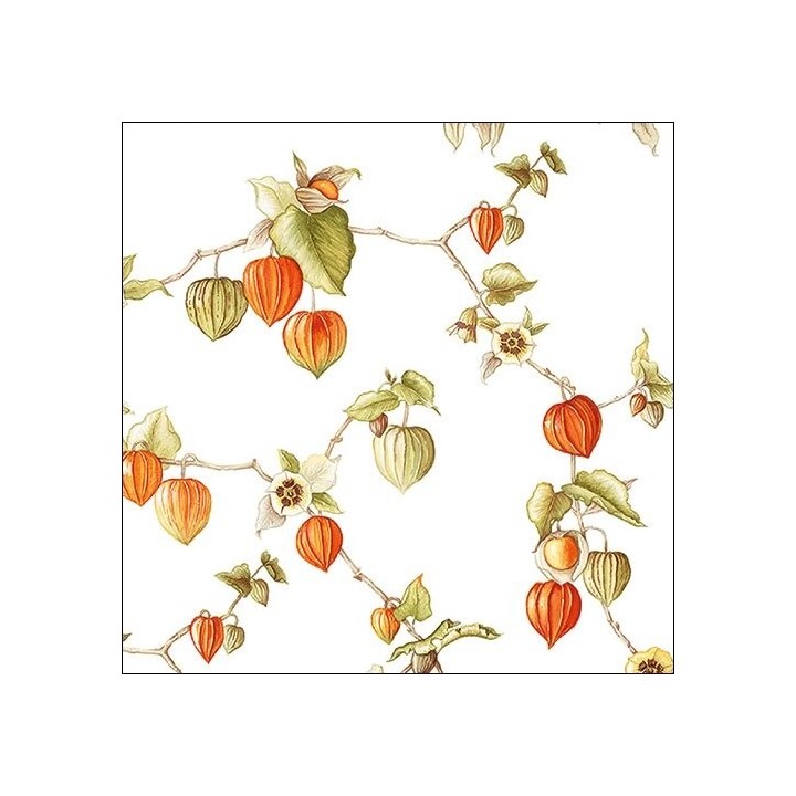 1 Pakje papieren lunch servetten - Lampion - Ambiente