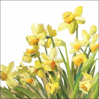1 Pack Paper Lunch Napkins - Golden Daffodils - ambiente
