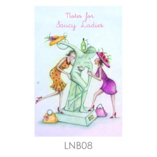 A6 - Notebook - Crazy ladies - Lined - Berni Parker