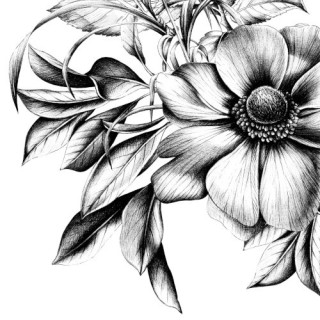 paper lunch napkins - Natasha - PPD -  FLower - Black white