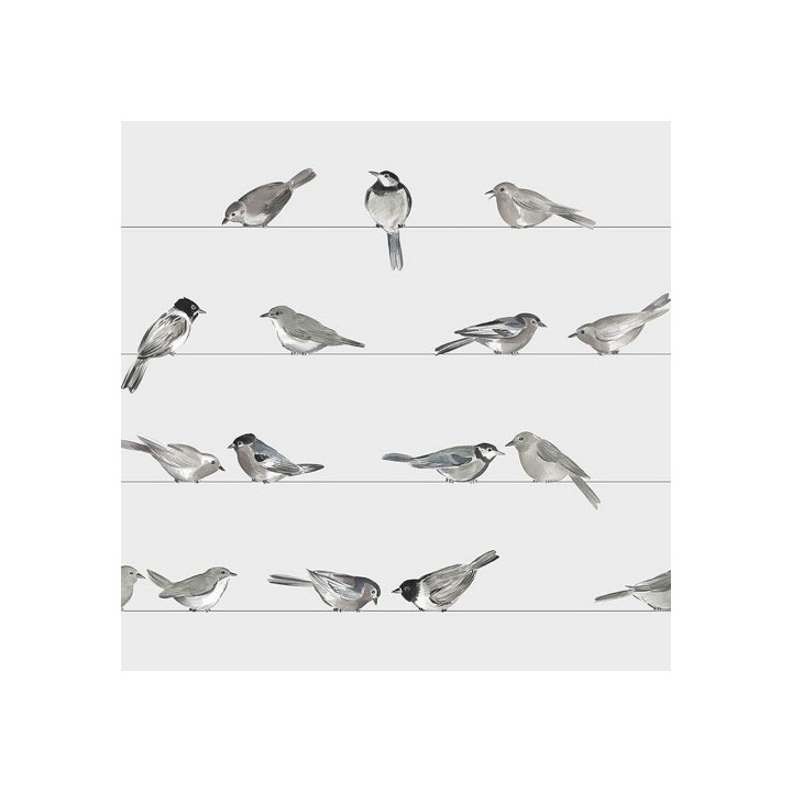 papieren lunch servetten - Birds - PPD