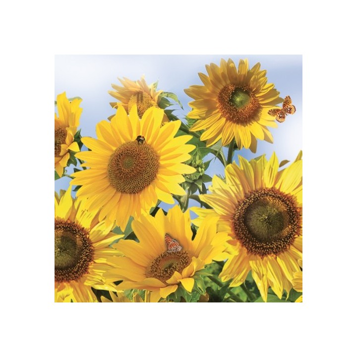 Daisy - Lunch Napkins - Sunflowers in the Sky