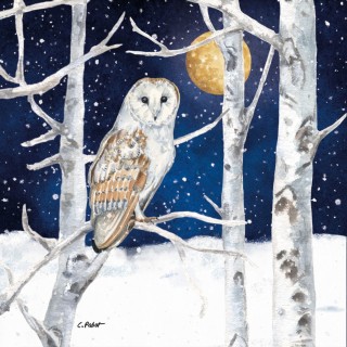 paper lunch napkins - Winter Owl - PPD - Winter - Trees - Owl