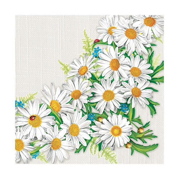 papieren lunch servetten - Daisy Frame - Margrietjes - Bloemen