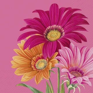 IHR - Lunch Napkins - Joyful Gerbera Pink