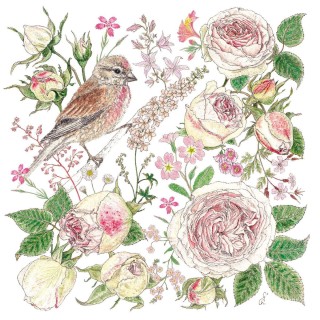 PPD - Lunch servetten - La Vie en Rose