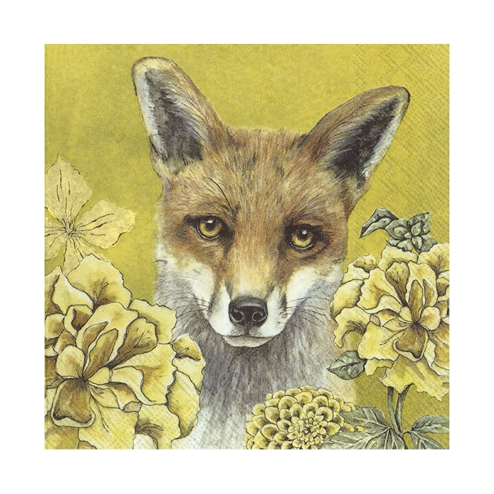 1 Pack paper lunch napkins - Fox Tale - IHR