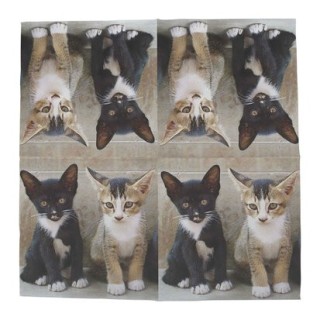 1 Pack paper lunch napkins - Kittens - Esschert Design
