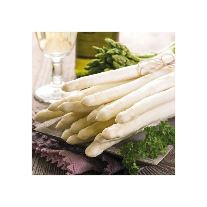1 Pack Paper Lunch Napkins - Asparagus Mix - Ambiente