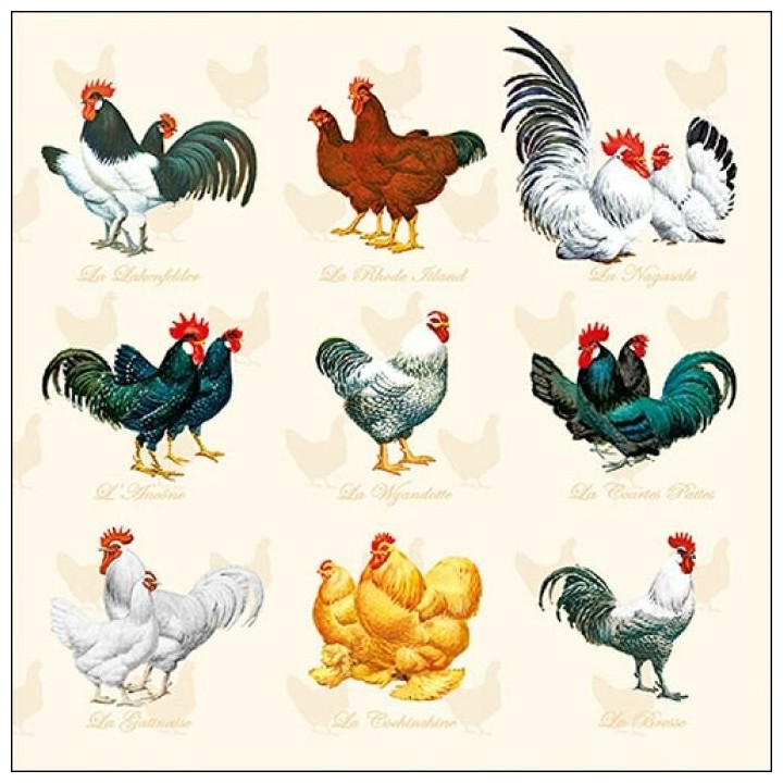 1 Pack Paper Lunch Napkins - Wyandotte Cream - Ambiente