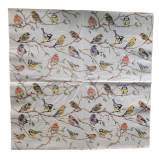 Paper Lunch Napkins - Birds Meeting | Geschenkenlaantje