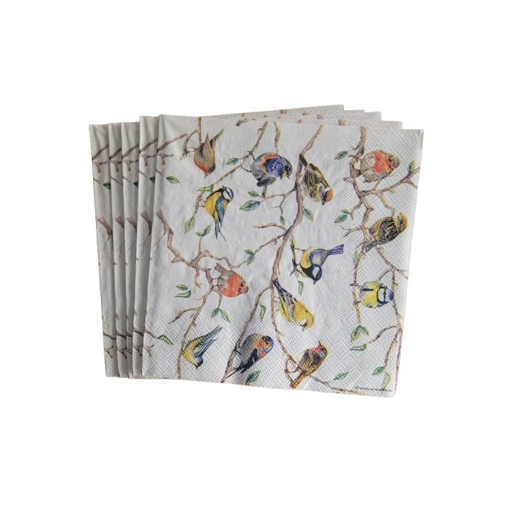 papieren lunch servetten - Birds Meeting | Geschenkenlaantje