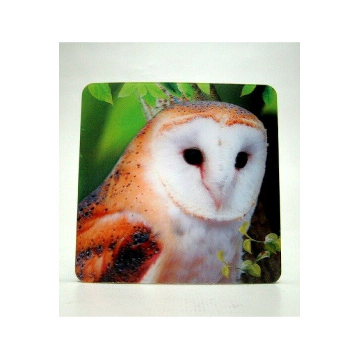 4 Mooie 3D onderzetters - Kerkuil - Vogel - Kunststof