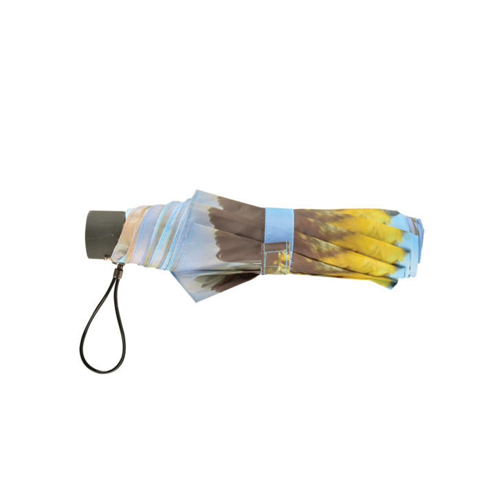 Foldable Umbrella - Blue Tit - Eschert Design